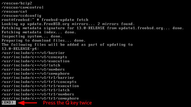 Update FreeBSD. Source: nudesystems.com