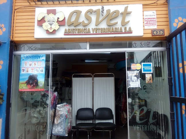 Asvet - Veterinario
