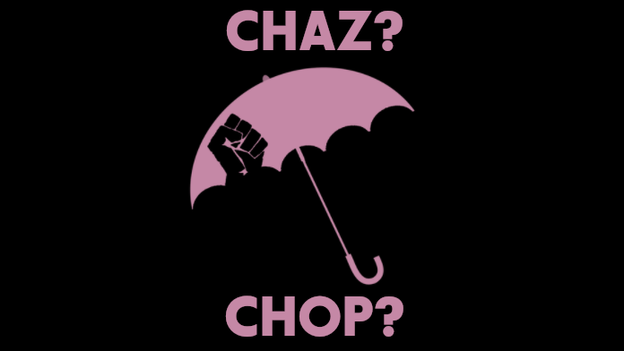 This image has an empty alt attribute; its file name is CHAZ_FLAG-2.png