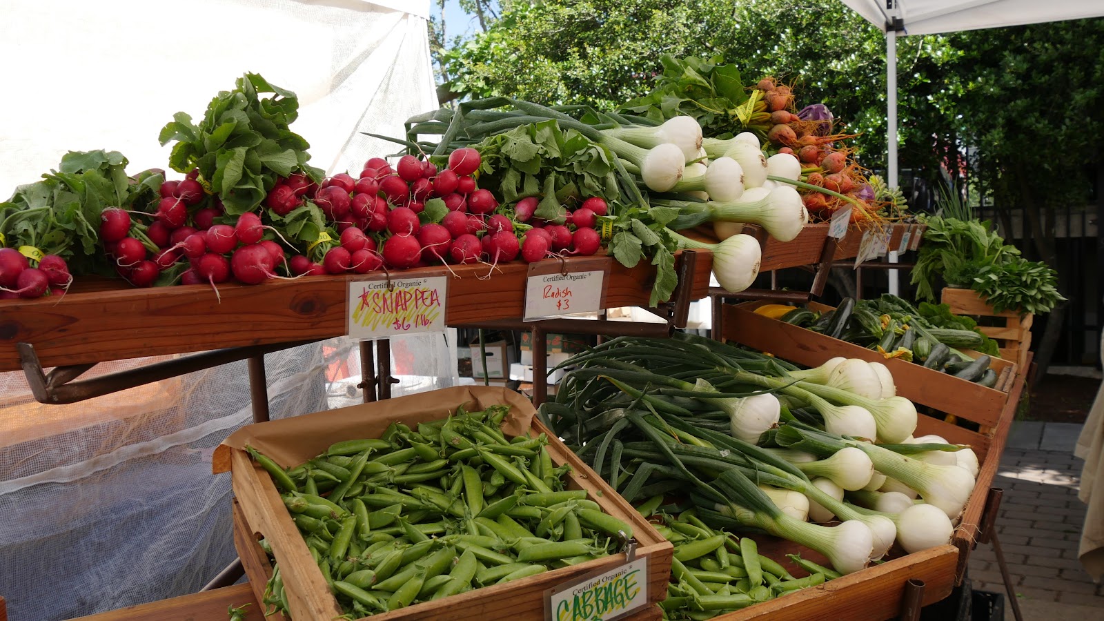 Agritourism in Salida, Colorado Creekside Chalets