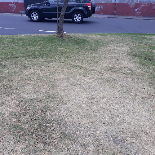 Centro Médico Selva Alegre - Quito