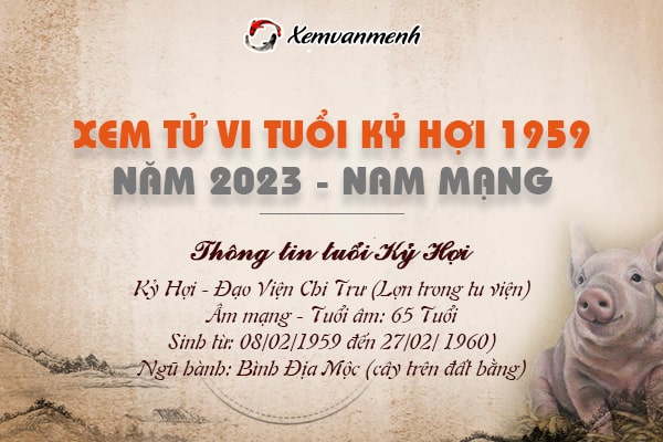 Xem bói tử vi tuổi Kỷ hợi nam mạng năm 2023 