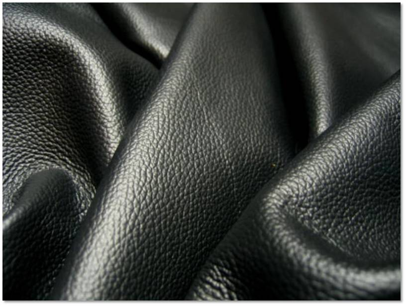 Appearance of Pigmented leather 
