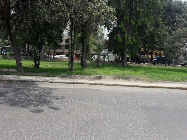Opiniones de Lavado De Autos Gladys en Ate - Servicio de lavado de coches