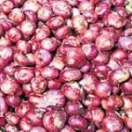 Small onion