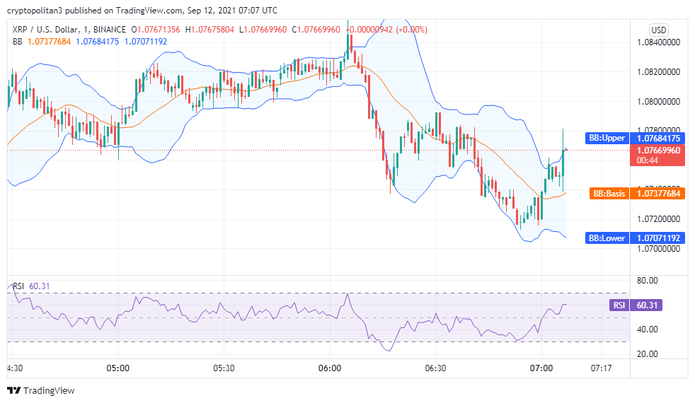 Ripple price analysis: XRP/USD is bullish for the next 24 hours 2