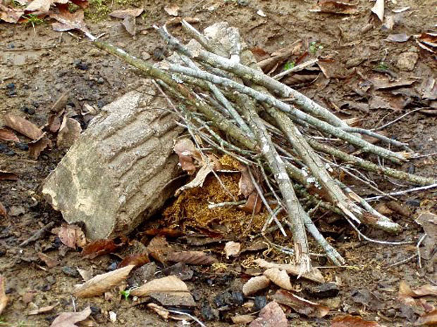 how to build a campfire - lean-to