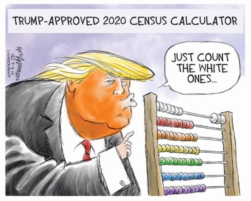 Image result for CENSUS CARTOON