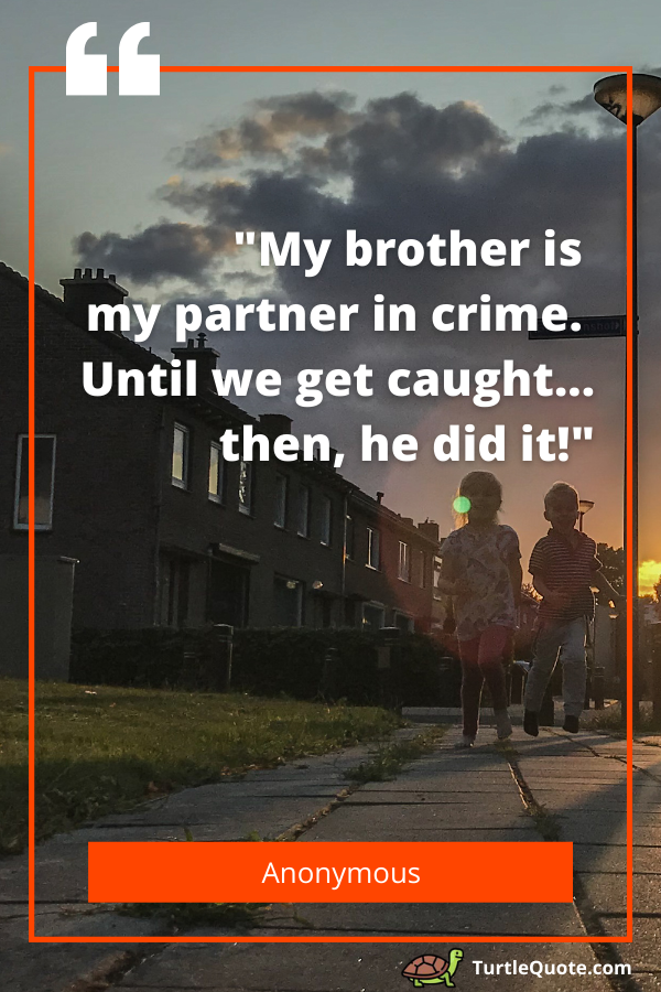 50 Brother And Sister Quotes To Strengthen Your Bond | Turtle Quotes