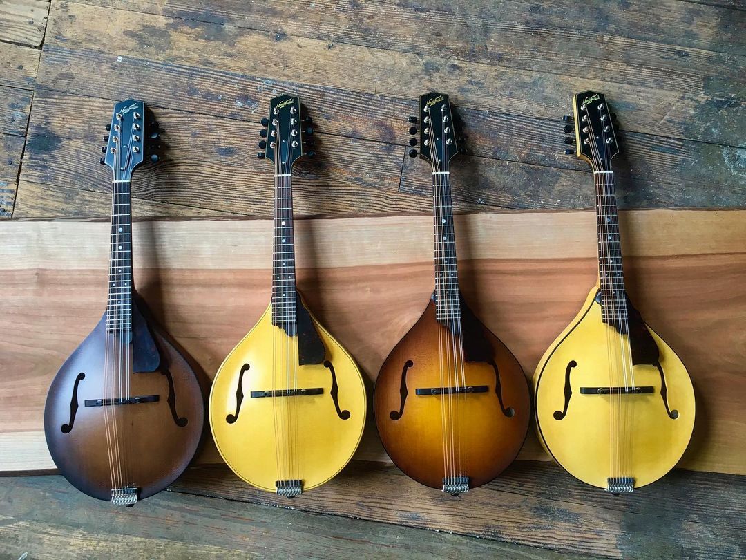 The Mandolin: Not the Outdated Instrument You May Think It Is | Skillshare Blog