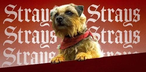 نقد و بررسی “Strays”: A Raunchy Comedy Goes to the Dogs