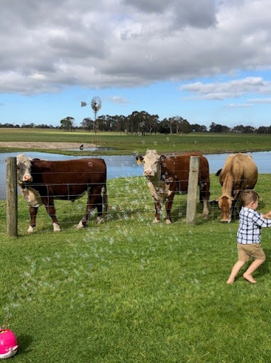 Taunton Farm Holiday Park