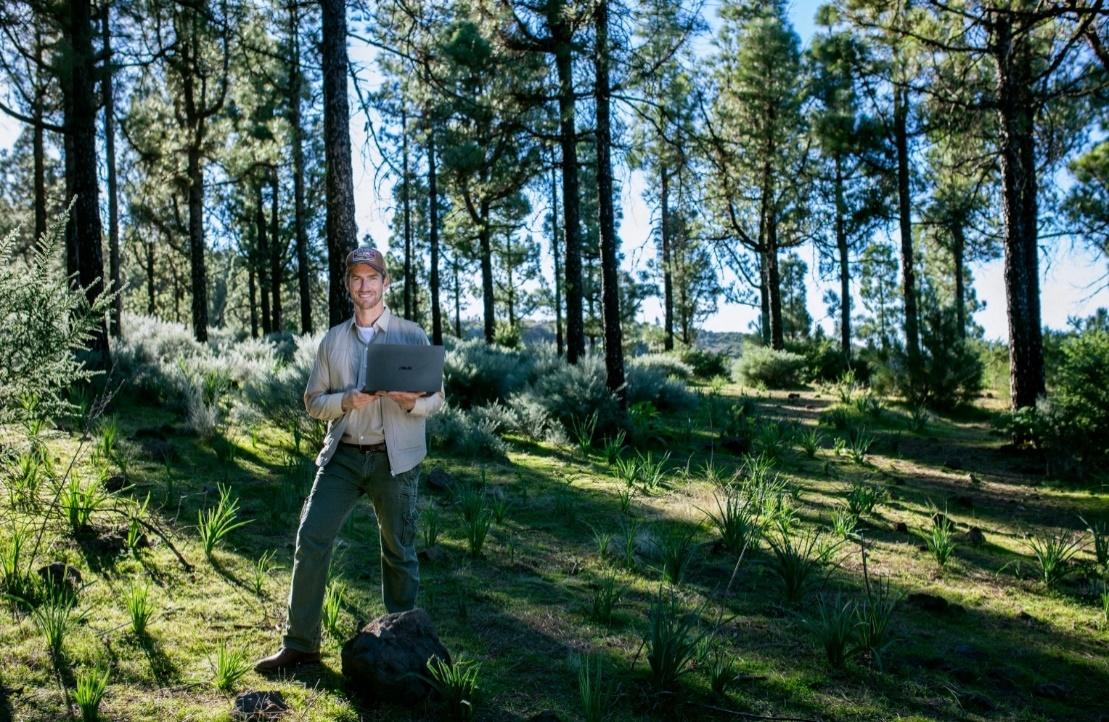 A picture containing grass, tree, outdoor, plantDescription automatically generated