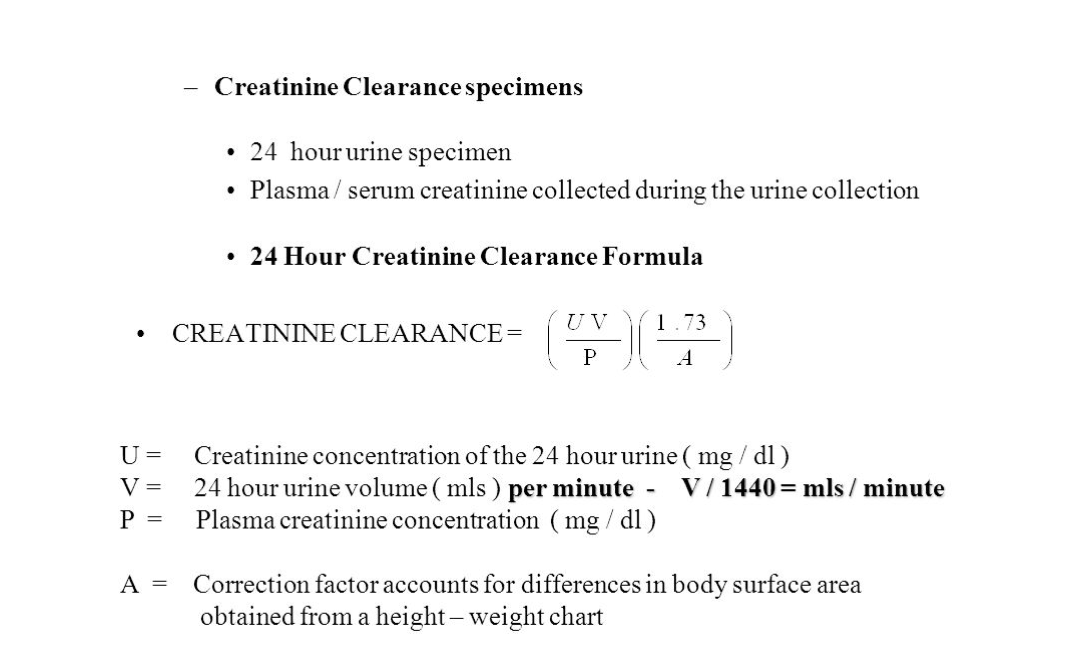 Solved You have decided to use the creatinine clearance rate | Chegg.com