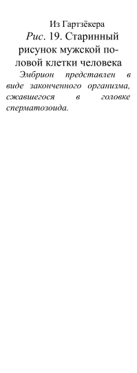 https://docs.google.com/drawings/d/s4HD2FEW3cmmpq1hsUWkj9w/image?parent=e/2PACX-1vStl1pMstT8ao8ygUh_N3tM2b40hXVKVTwSclHVQWg08EzzwNFEKILC6EEt-UReiQ&rev=1&drawingRevisionAccessToken=saaMO_VwxEPXkQ&h=540&w=199&ac=1