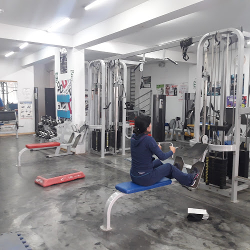 Opiniones de Gimnasio Mister Gym en Santa Anita - Gimnasio