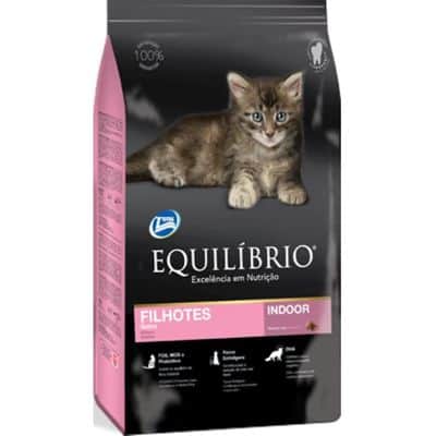 Best Cat Food Kitten Recommendations Equilibrio Kitten