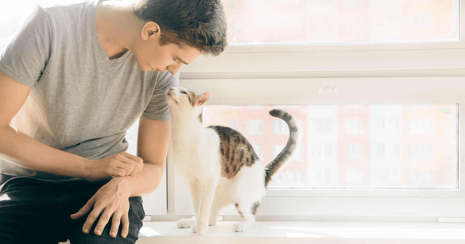 Man and cat sitting on windowsill looking into each others' eyes