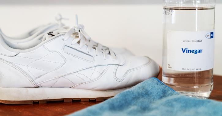 How to Clean White Shoes | Molly Maid