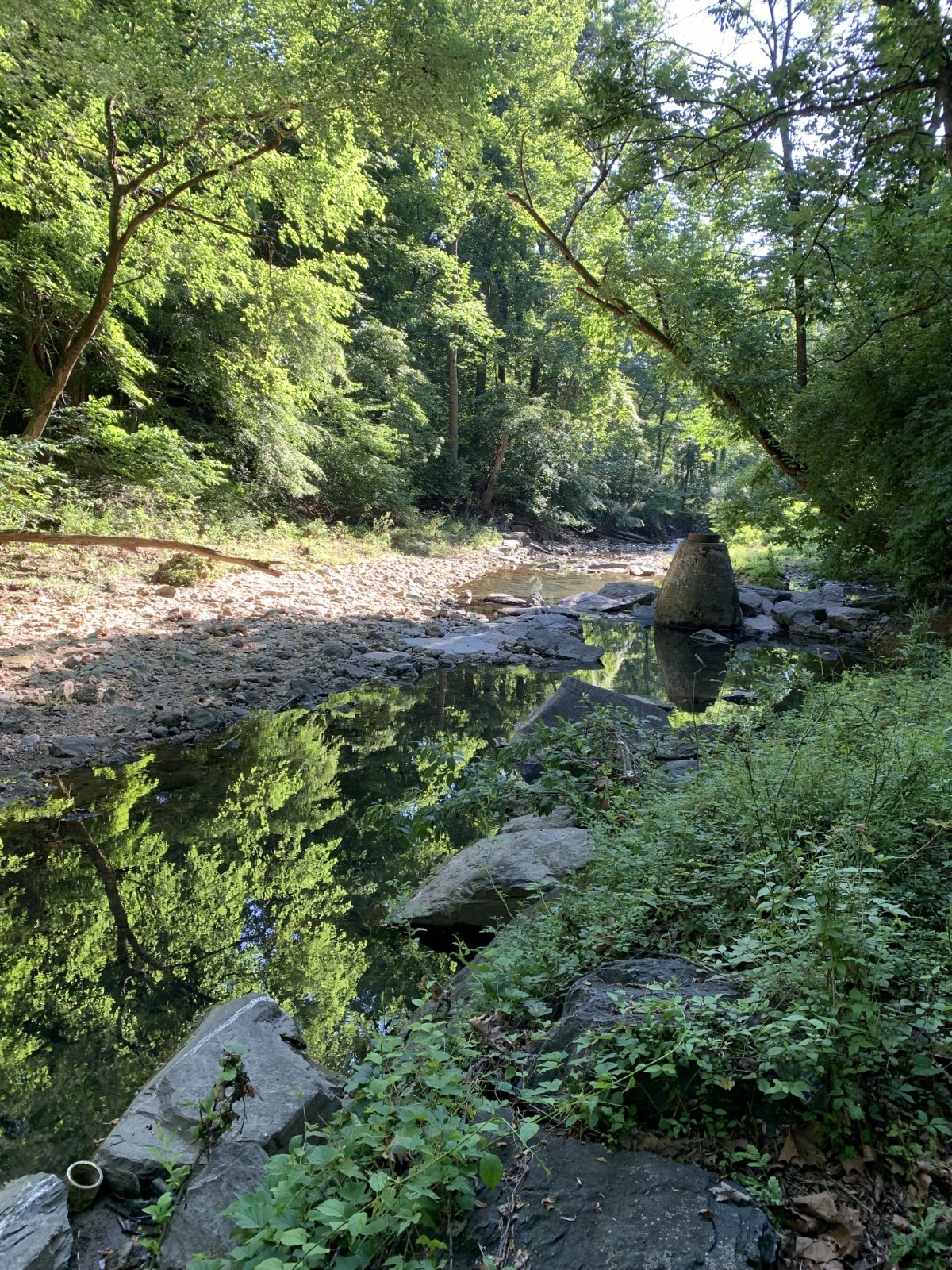 An outdoor photo of a stream surrounded by foliage
