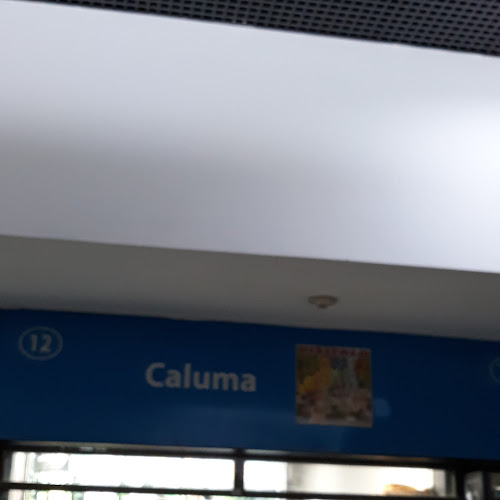 Caluma - Servicio de transporte