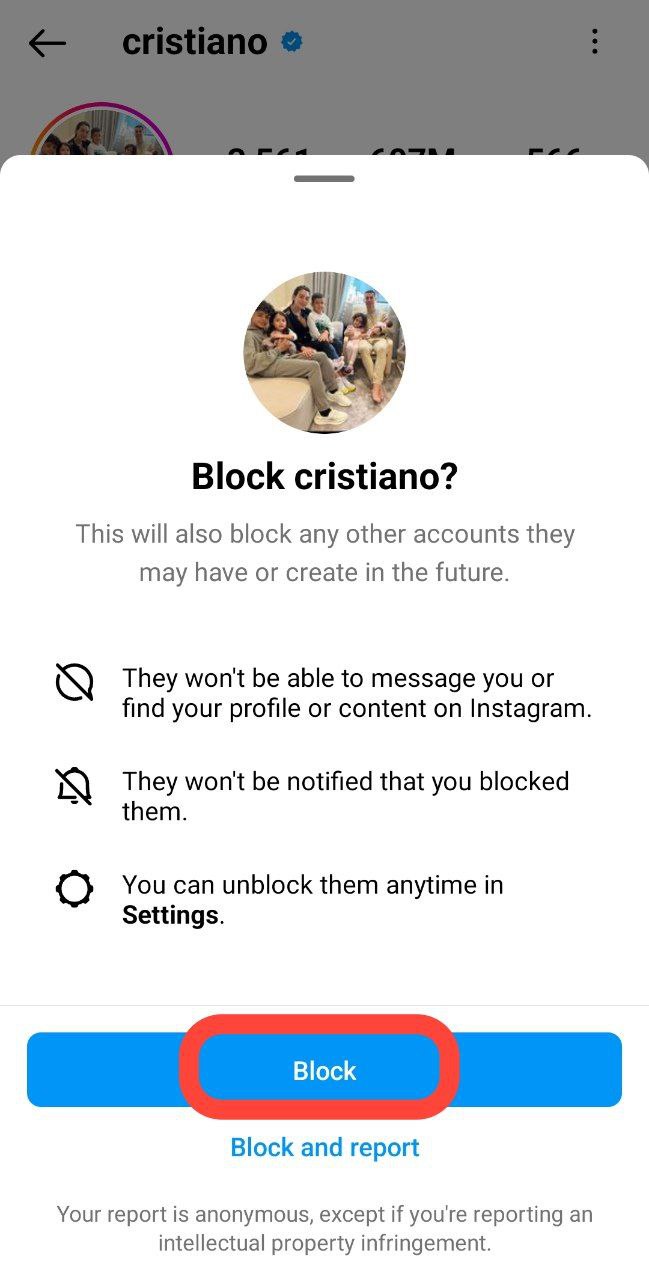Hide followers on Insta by blocking