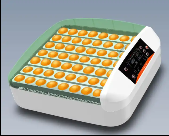 Newest design automatic egg incubator