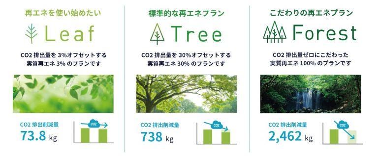 自然電力のプラン特徴について