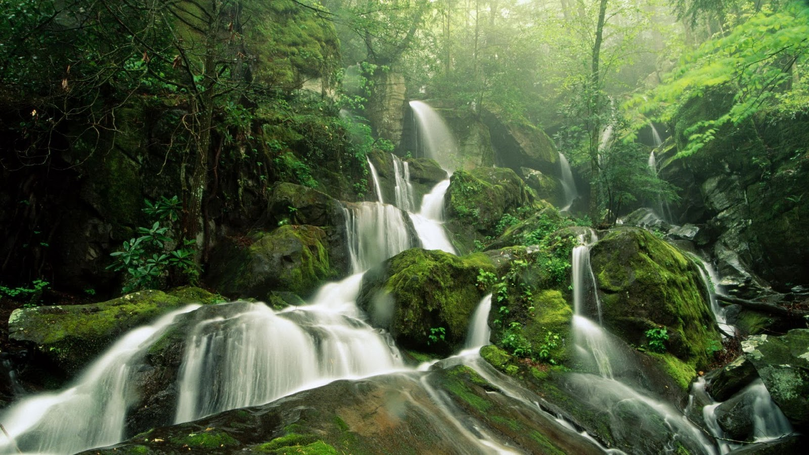 Currumbin Valley