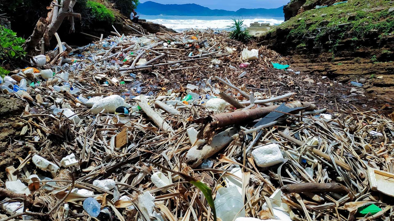 Pembangkit Listrik Tenaga Sampah di Indonesia: Solusi Ramah Lingkungan untuk Masalah Sampah