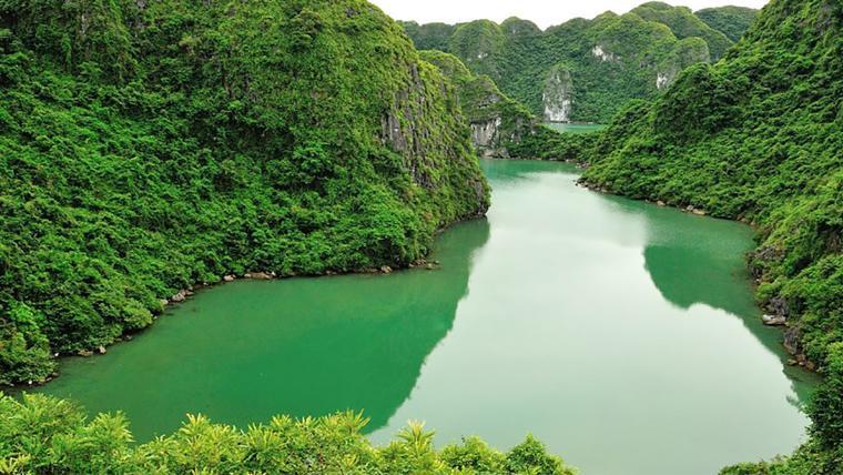 Top 5 worth-visiting national parks in Vietnam for the nature lovers