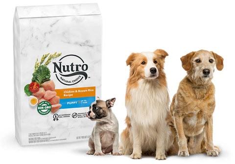 NUTRO Natural Choice Healthy Weight Adult Lamb &amp; Brown Rice Recipe Dry Dog  Food, 30-lb bag - Chewy.com