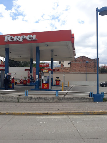 Gasolinera Terpel Control Sur