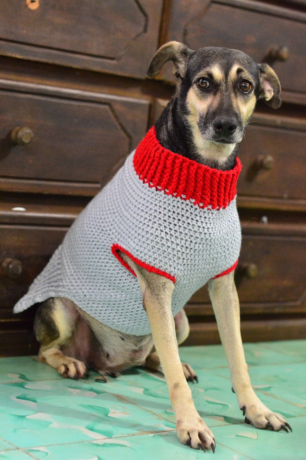 Large Crochet Dog Sweater