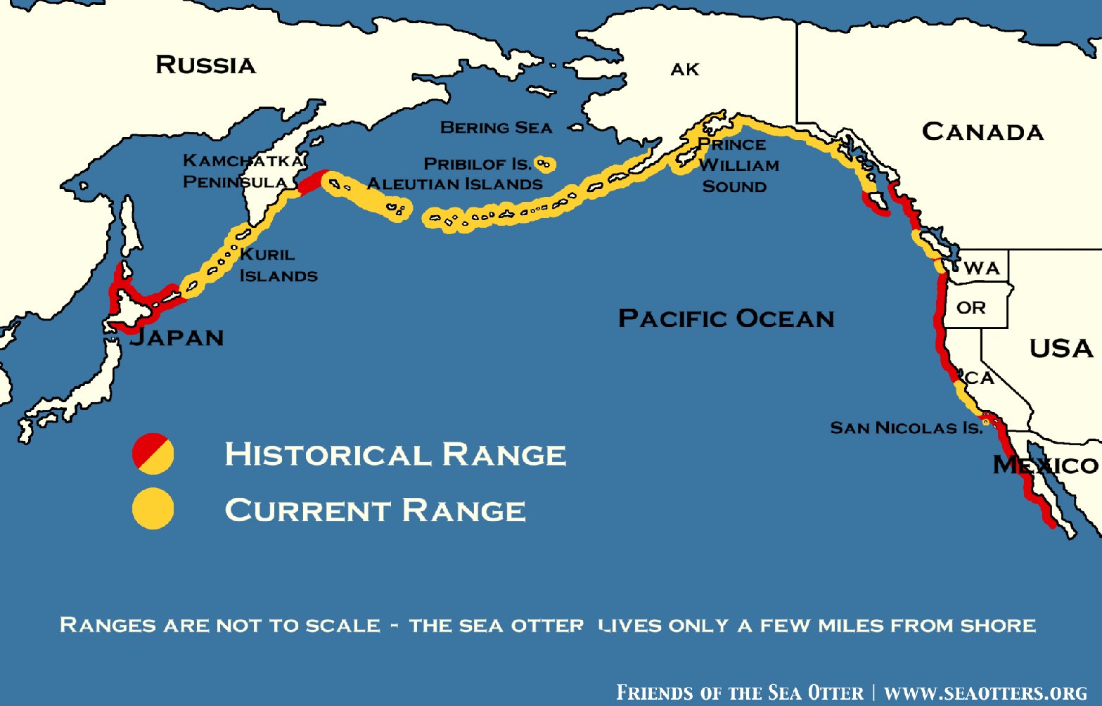 seaotterrange.jpg