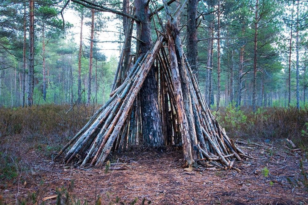 How to Build a Survival Shelter (Best Shelter Designs Explained)
