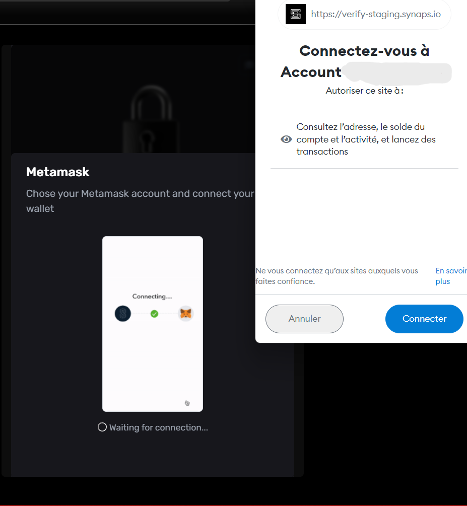 Screenshot: The MeMask wallet is linked to your Anima identity on the blockchain.