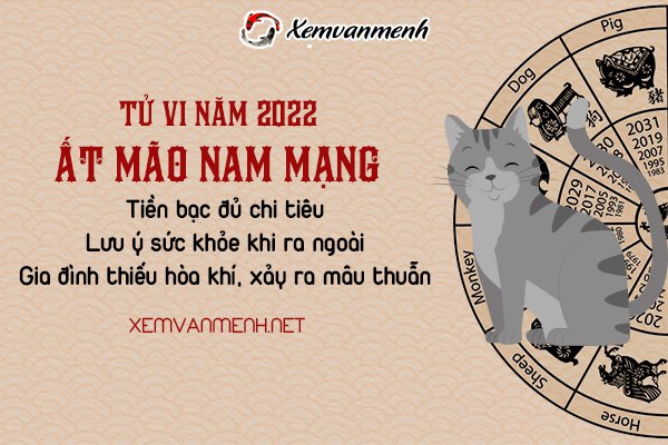 tu-vi-tuoi-at-mao-nam-2022-nam-mang-1975