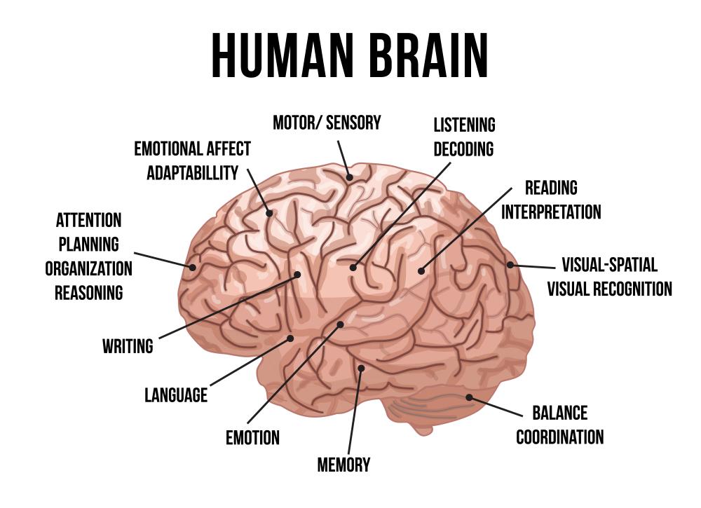 memory loss test