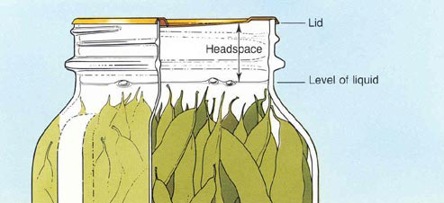 Illustration of headspace.