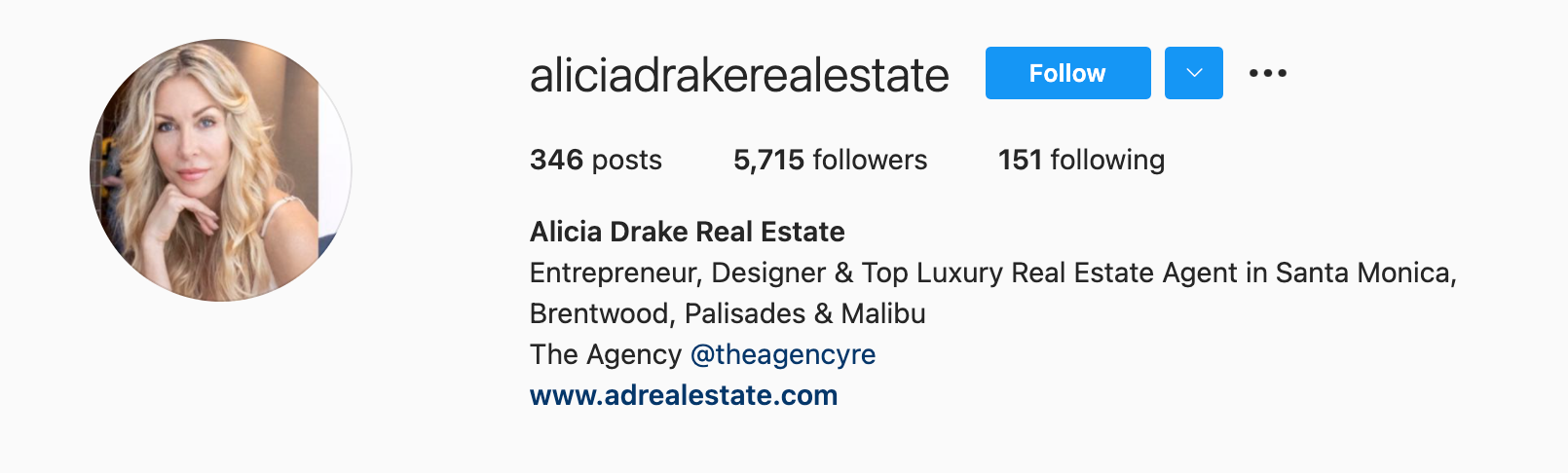 real estate social media bio examples