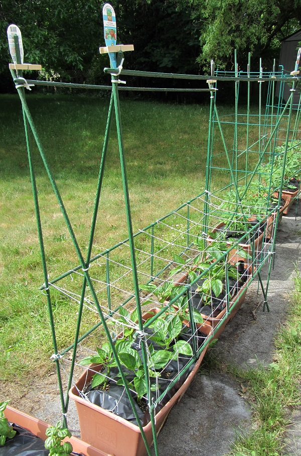 Trellises
