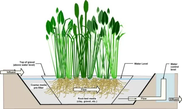 Components of constructed wetland