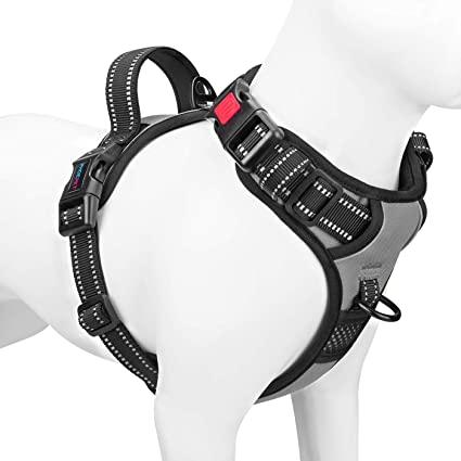 Phoepet Harness with 2 Adjustable Meta Rings & Buckles