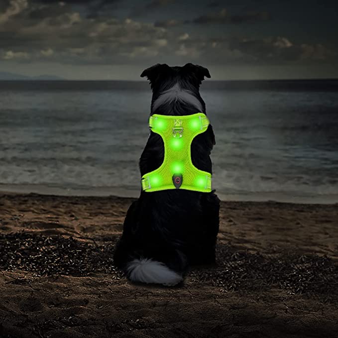 Tripolaco Light Up Dog Harness, Glow in The Dark Led Dog Harness with Soft Padded, USB Rechargeable Illuminated Pet Harness for Small Medium Large Dogs