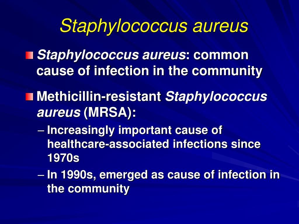 Facts about staphylococcus aureus