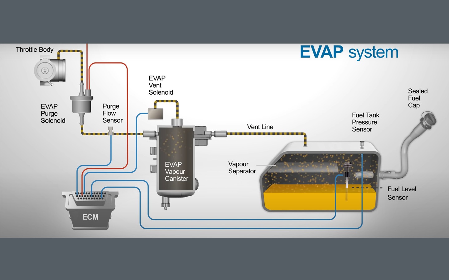 EVAP system captures fuel vapours and prevent them from escaping into the atmosphere