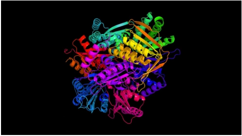 protein-structure-built-by-AI