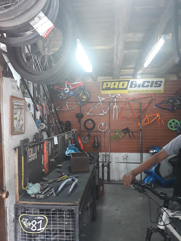 Opiniones de Pro Bicis en Quito - Tienda de bicicletas