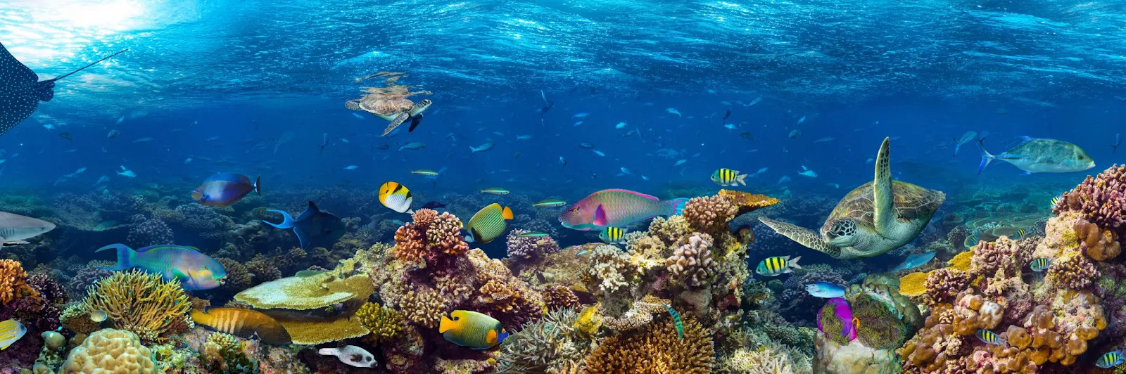 What is blue economy? | Photo: US Government